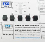 FKS-CoilS PPTI Push-Pull Transformers FKS750313626
