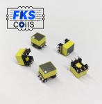 FKS-CoilS PPTI Push-Pull Transformers FKS750315089 EP5